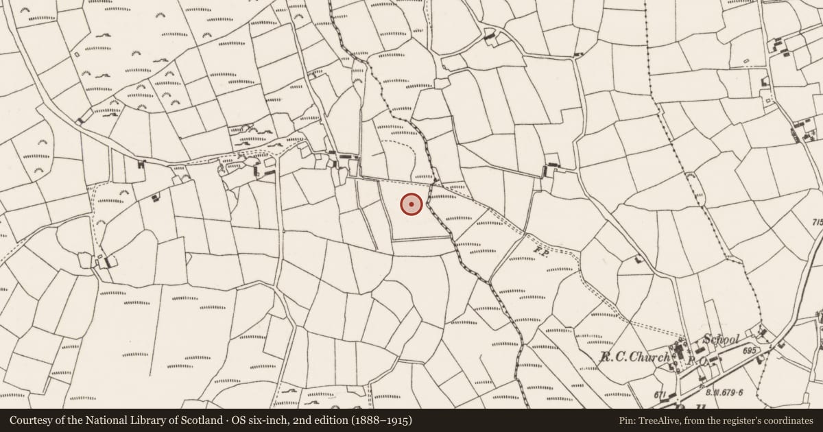 Ordnance Survey six-inch map, 2nd edition (1888–1915) covering the location of Fulacht fia, Knocknagappul, County Cork, with a pin at the register's coordinates