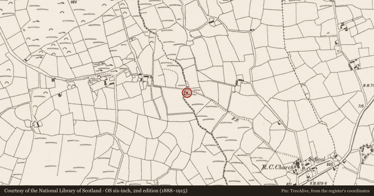 Ordnance Survey six-inch map, 2nd edition (1888–1915) covering the location of Fulacht fia, Ballynagree West, County Cork, with a pin at the register's coordinates