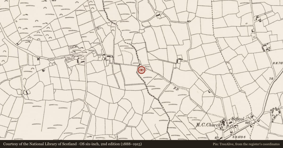 Ordnance Survey six-inch map, 2nd edition (1888–1915) covering the location of Fulacht fia, Ballynagree West, County Cork, with a pin at the register's coordinates