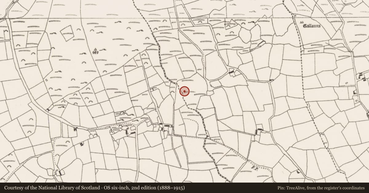Ordnance Survey six-inch map, 2nd edition (1888–1915) covering the location of Fulacht fia, Ballynagree West, County Cork, with a pin at the register's coordinates