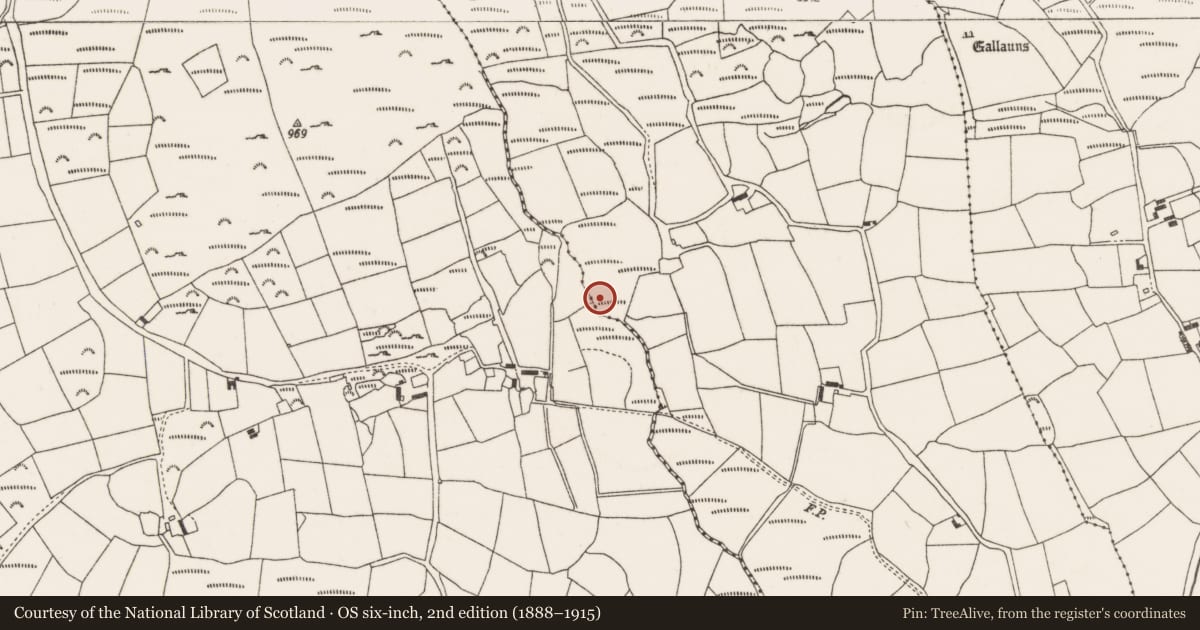 Ordnance Survey six-inch map, 2nd edition (1888–1915) covering the location of Fulacht fia, Ballynagree West, County Cork, with a pin at the register's coordinates