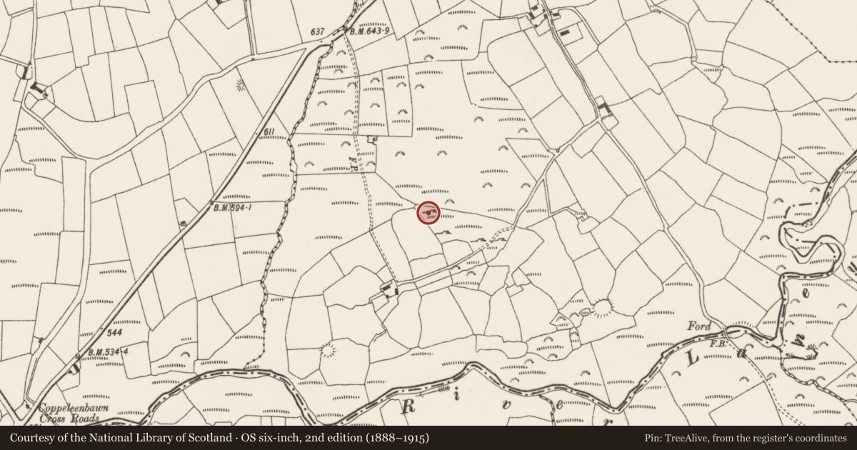 Ordnance Survey six-inch map, 2nd edition (1888–1915) covering the location of Standing stone, Ballynagree West, County Cork, with a pin at the register's coordinates