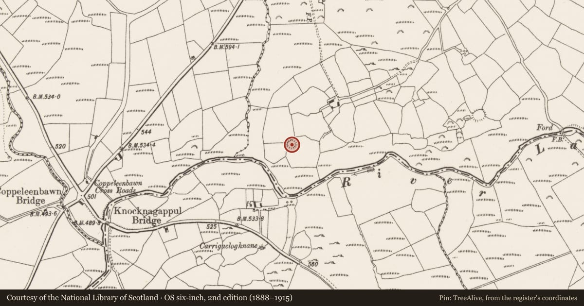 Ordnance Survey six-inch map, 2nd edition (1888–1915) covering the location of Ringfort - rath, Ballynagree West, County Cork, with a pin at the register's coordinates