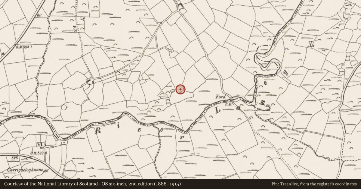 Ordnance Survey six-inch map, 2nd edition (1888–1915) covering the location of Ringfort - rath, Ballynagree West, County Cork, with a pin at the register's coordinates