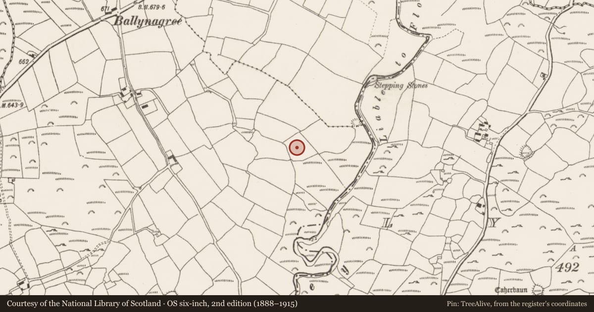 Ordnance Survey six-inch map, 2nd edition (1888–1915) covering the location of Fulacht fia, Ballynagree West, County Cork, with a pin at the register's coordinates