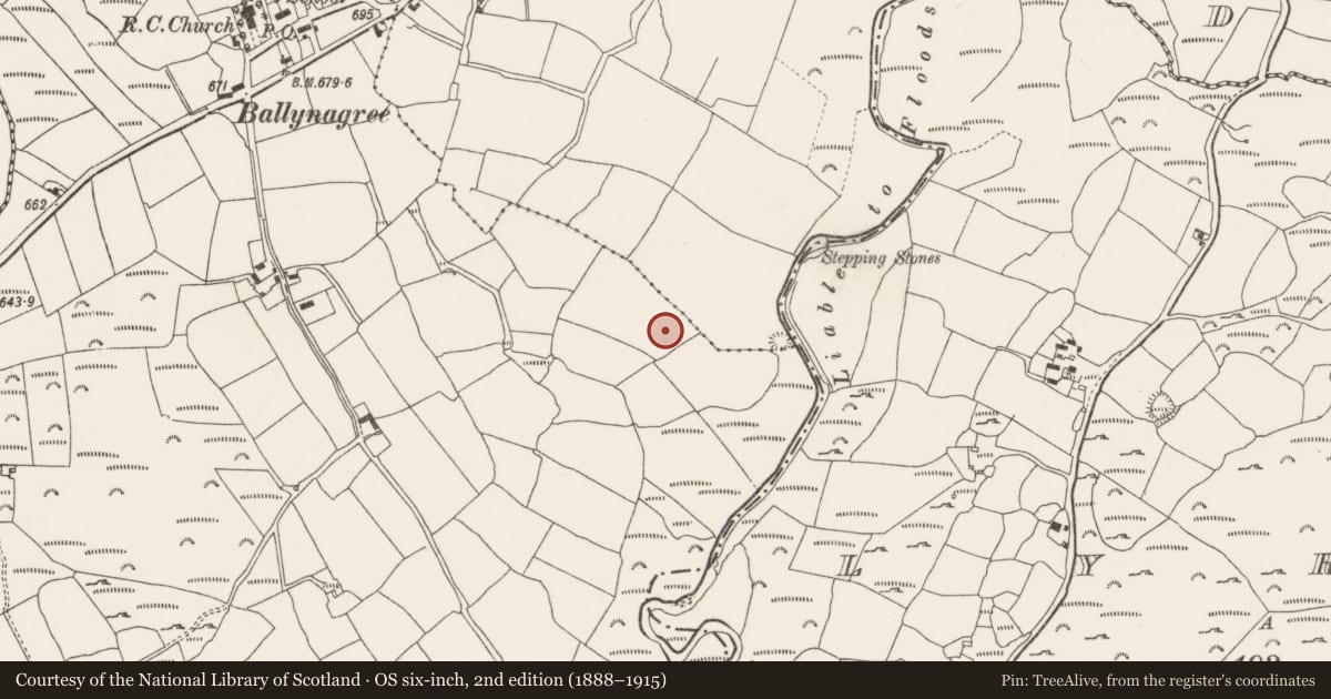 Ordnance Survey six-inch map, 2nd edition (1888–1915) covering the location of Cist, Ballynagree West, County Cork, with a pin at the register's coordinates