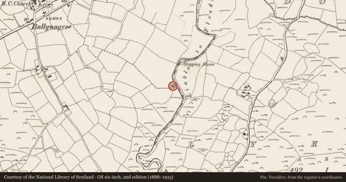 Ordnance Survey six-inch map, 2nd edition (1888–1915) covering the location of Cliff-edge fort, Ballynagree East, County Cork, with a pin at the register's coordinates