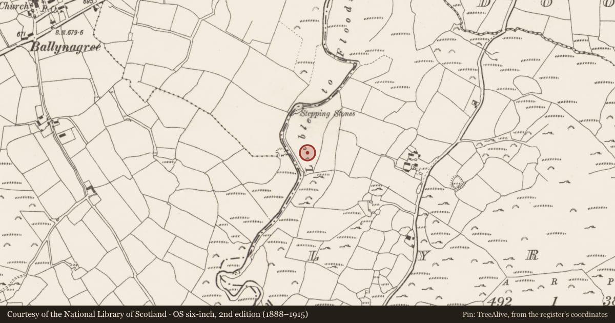 Ordnance Survey six-inch map, 2nd edition (1888–1915) covering the location of Fulacht fia, Lyroe, County Cork, with a pin at the register's coordinates