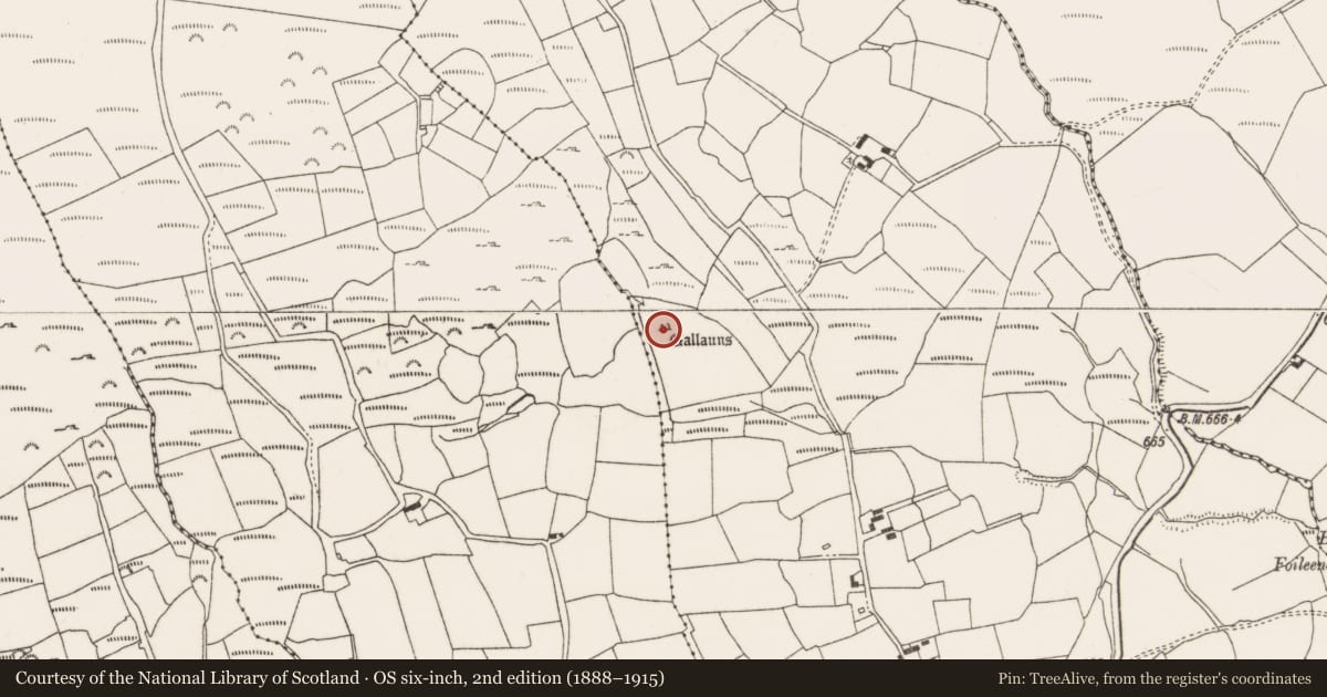 Ordnance Survey six-inch map, 2nd edition (1888–1915) covering the location of Standing stone - pair, Ballynagree East, County Cork, with a pin at the register's coordinates
