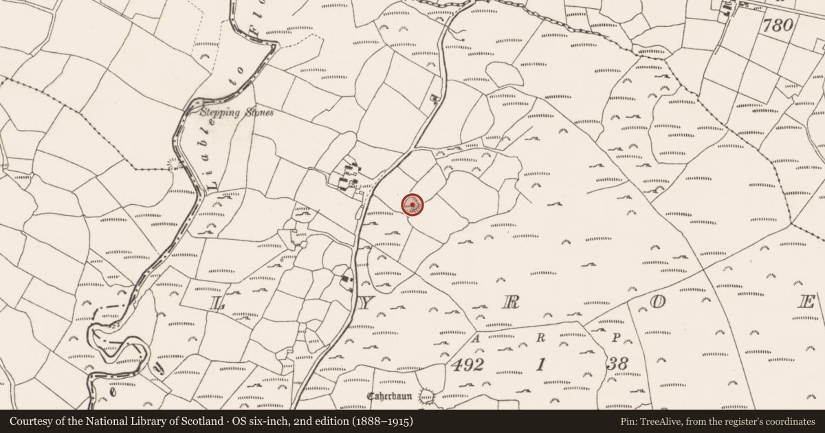 Ordnance Survey six-inch map, 2nd edition (1888–1915) covering the location of Ringfort - cashel, Lyroe, County Cork, with a pin at the register's coordinates