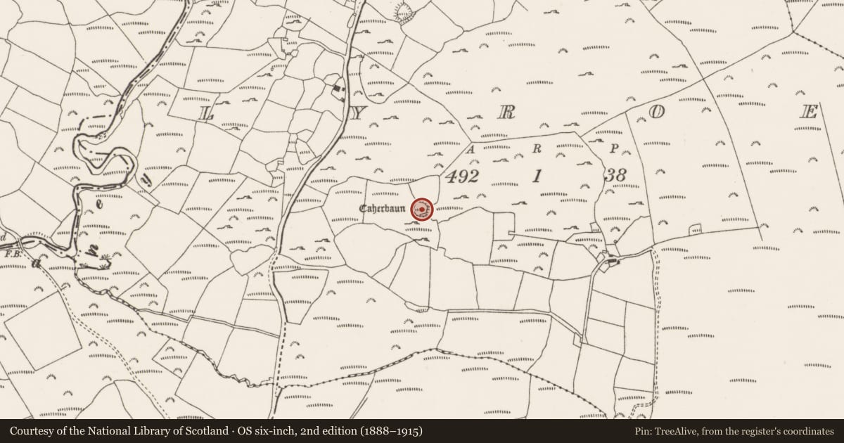 Ordnance Survey six-inch map, 2nd edition (1888–1915) covering the location of Ringfort - cashel, Lyroe, County Cork, with a pin at the register's coordinates