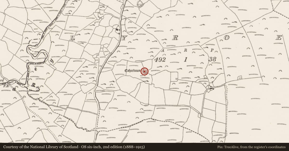 Ordnance Survey six-inch map, 2nd edition (1888–1915) covering the location of Souterrain, Lyroe, County Cork, with a pin at the register's coordinates