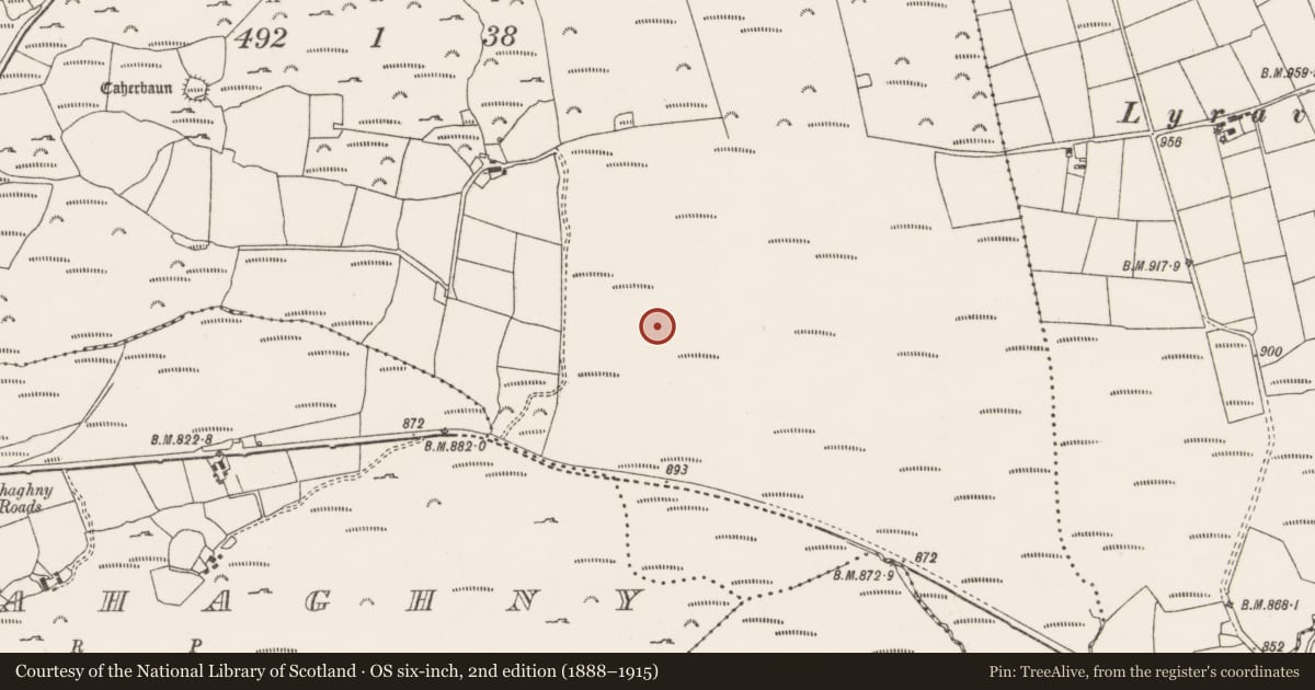 Ordnance Survey six-inch map, 2nd edition (1888–1915) covering the location of Enclosure, Lyroe, County Cork, with a pin at the register's coordinates
