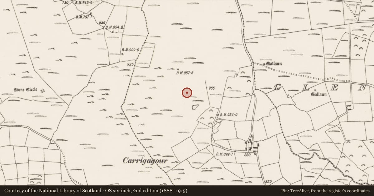 Ordnance Survey six-inch map, 2nd edition (1888–1915) covering the location of Barrow - ring-barrow, Oughtihery, County Cork, with a pin at the register's coordinates