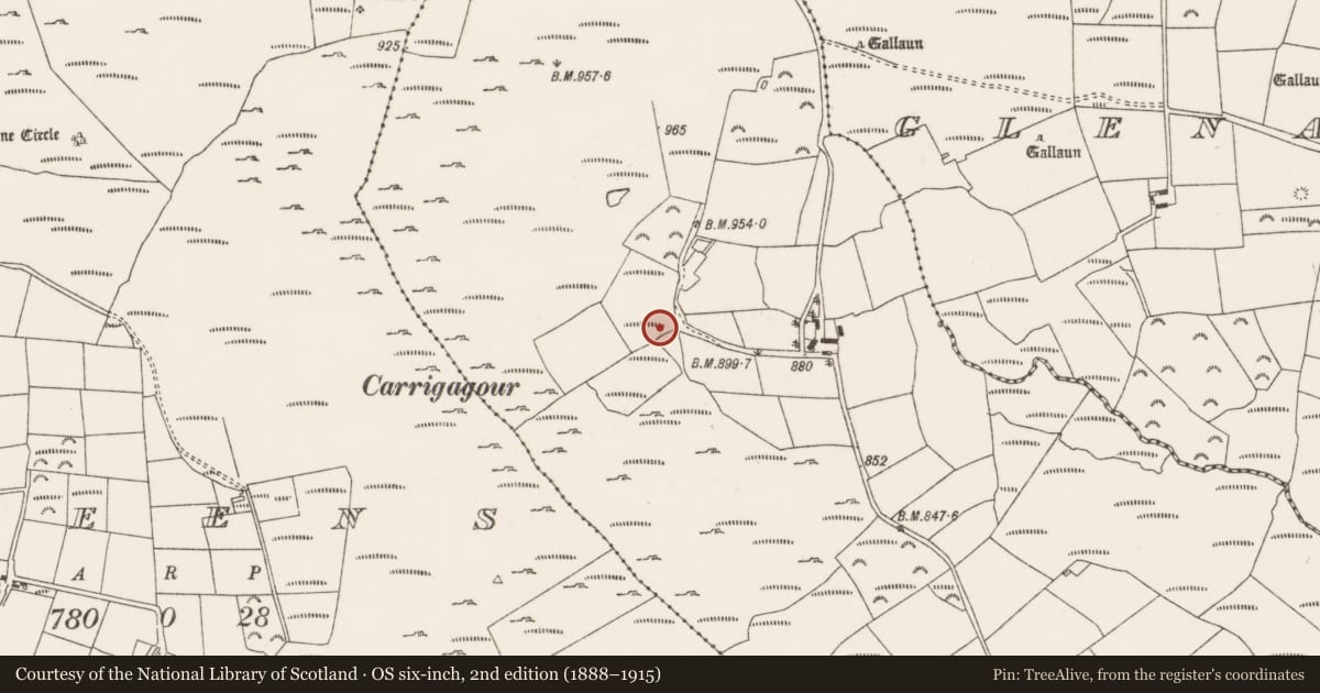 Ordnance Survey six-inch map, 2nd edition (1888–1915) covering the location of Standing stone, Oughtihery, County Cork, with a pin at the register's coordinates
