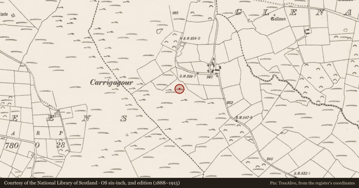 Ordnance Survey six-inch map, 2nd edition (1888–1915) covering the location of Fulacht fia, Oughtihery, County Cork, with a pin at the register's coordinates