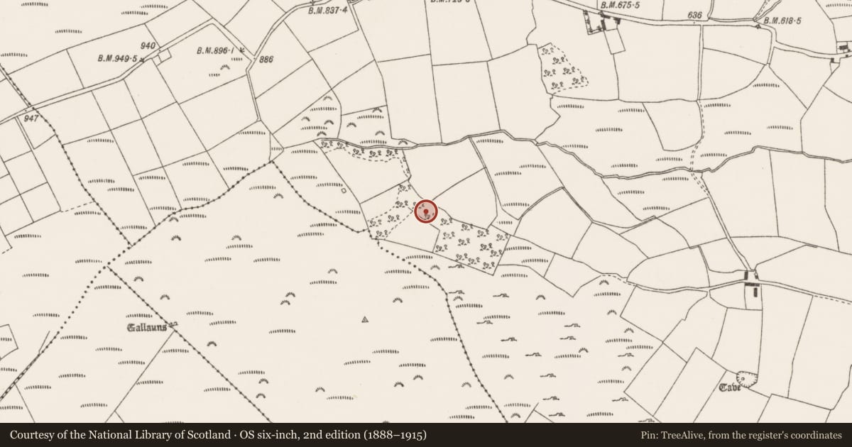 Ordnance Survey six-inch map, 2nd edition (1888–1915) covering the location of Souterrain, Oughtihery, County Cork, with a pin at the register's coordinates