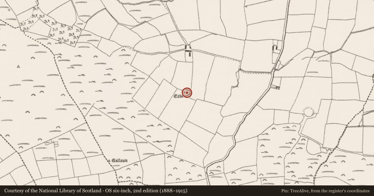 Ordnance Survey six-inch map, 2nd edition (1888–1915) covering the location of Ringfort - rath, Oughtihery, County Cork, with a pin at the register's coordinates