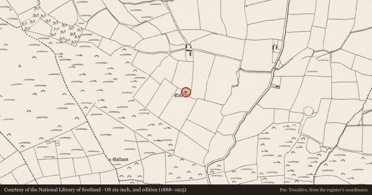 Ordnance Survey six-inch map, 2nd edition (1888–1915) covering the location of Souterrain, Oughtihery, County Cork, with a pin at the register's coordinates
