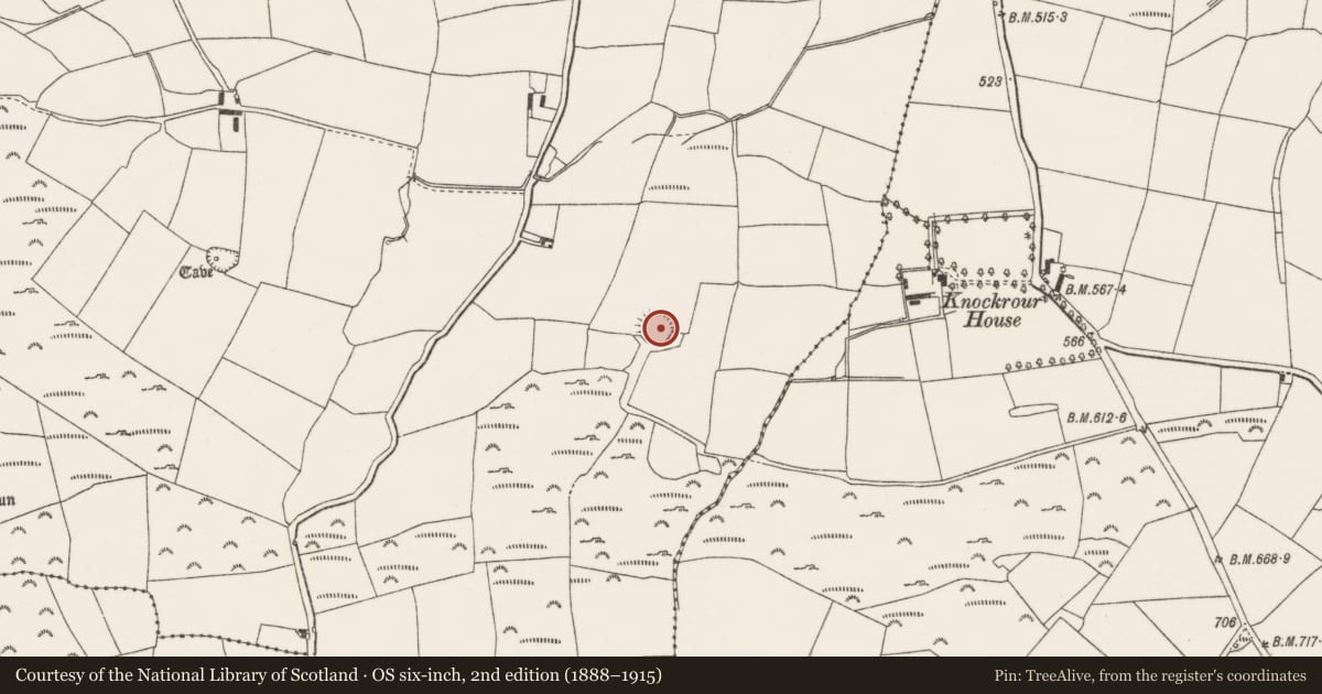 Ordnance Survey six-inch map, 2nd edition (1888–1915) covering the location of Souterrain, Oughtihery, County Cork, with a pin at the register's coordinates