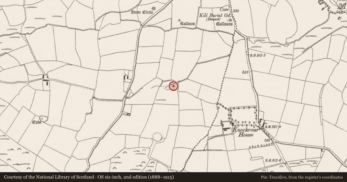 Ordnance Survey six-inch map, 2nd edition (1888–1915) covering the location of Fulacht fia, Oughtihery, County Cork, with a pin at the register's coordinates