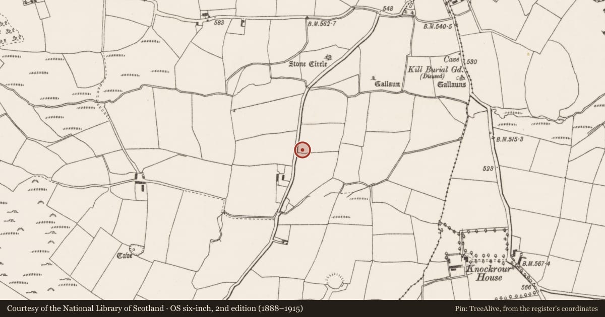 Ordnance Survey six-inch map, 2nd edition (1888–1915) covering the location of Bullaun stone, Oughtihery, County Cork, with a pin at the register's coordinates