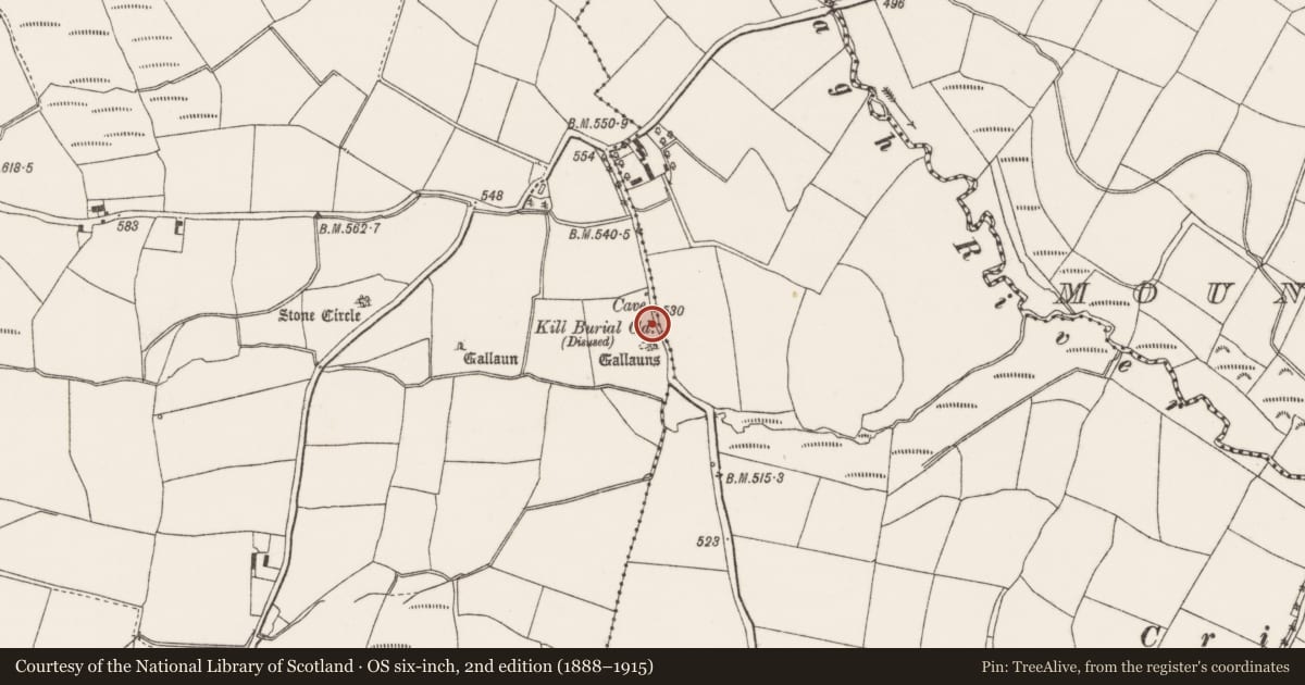 Ordnance Survey six-inch map, 2nd edition (1888–1915) covering the location of Ecclesiastical enclosure, Knockrour, Oughtihery, County Cork, with a pin at the register's coordinates