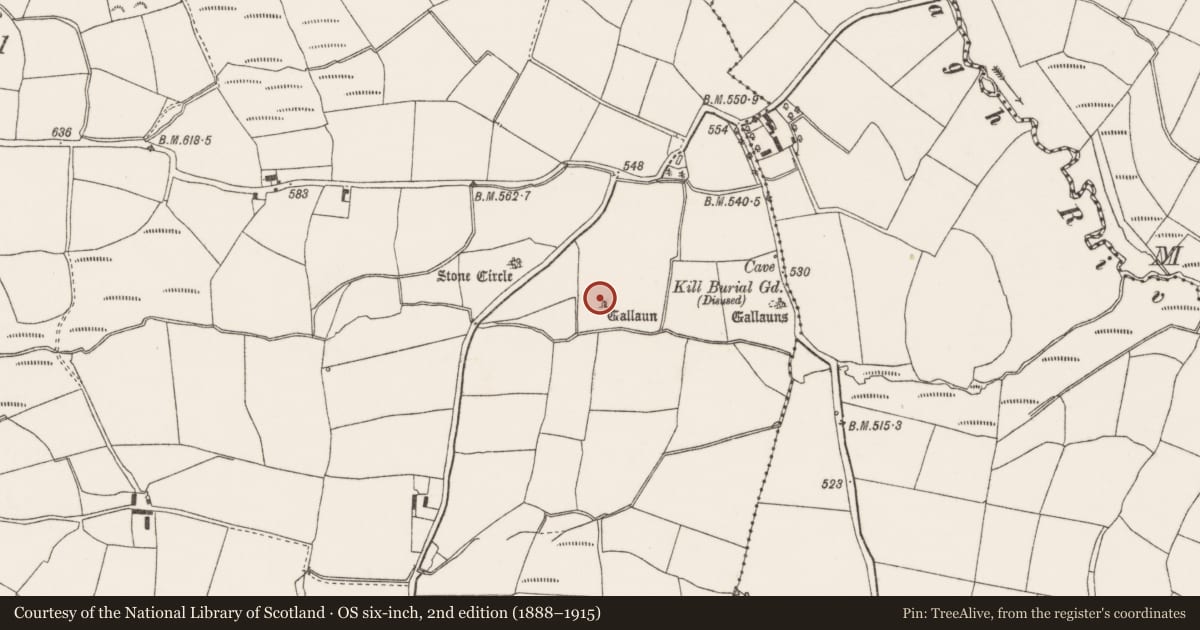 Ordnance Survey six-inch map, 2nd edition (1888–1915) covering the location of Standing stone, Oughtihery, County Cork, with a pin at the register's coordinates