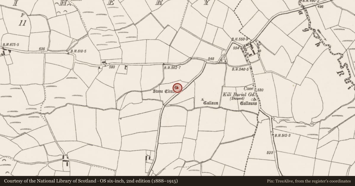 Ordnance Survey six-inch map, 2nd edition (1888–1915) covering the location of Stone circle - multiple-stone, Oughtihery, County Cork, with a pin at the register's coordinates