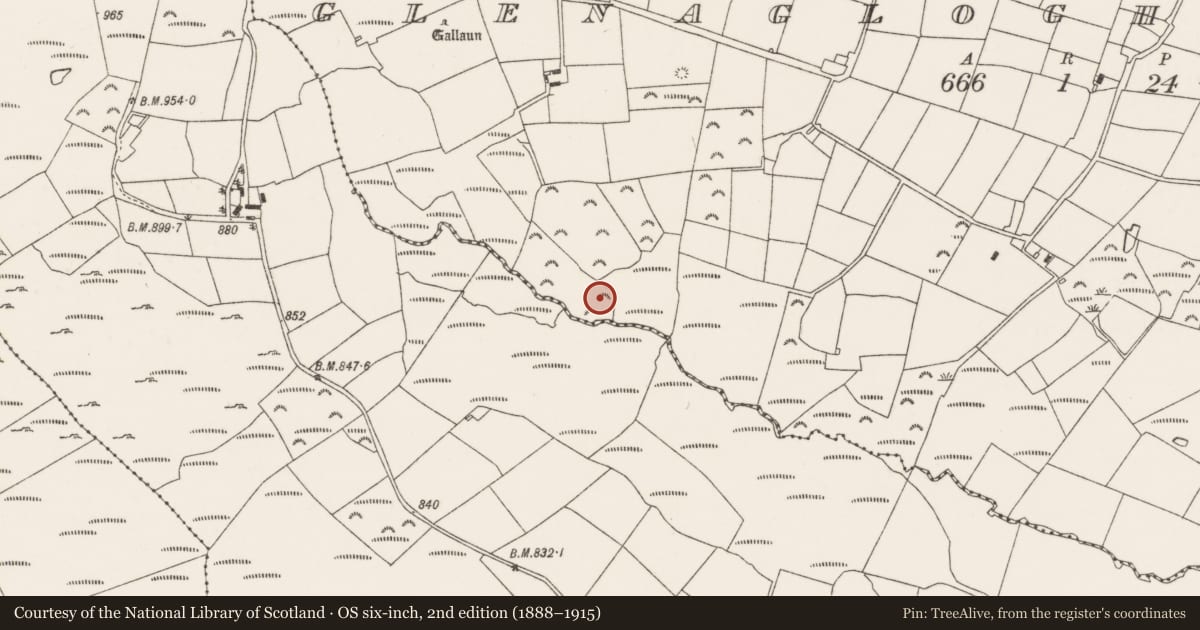 Ordnance Survey six-inch map, 2nd edition (1888–1915) covering the location of Standing stone, Glenaglogh South, County Cork, with a pin at the register's coordinates