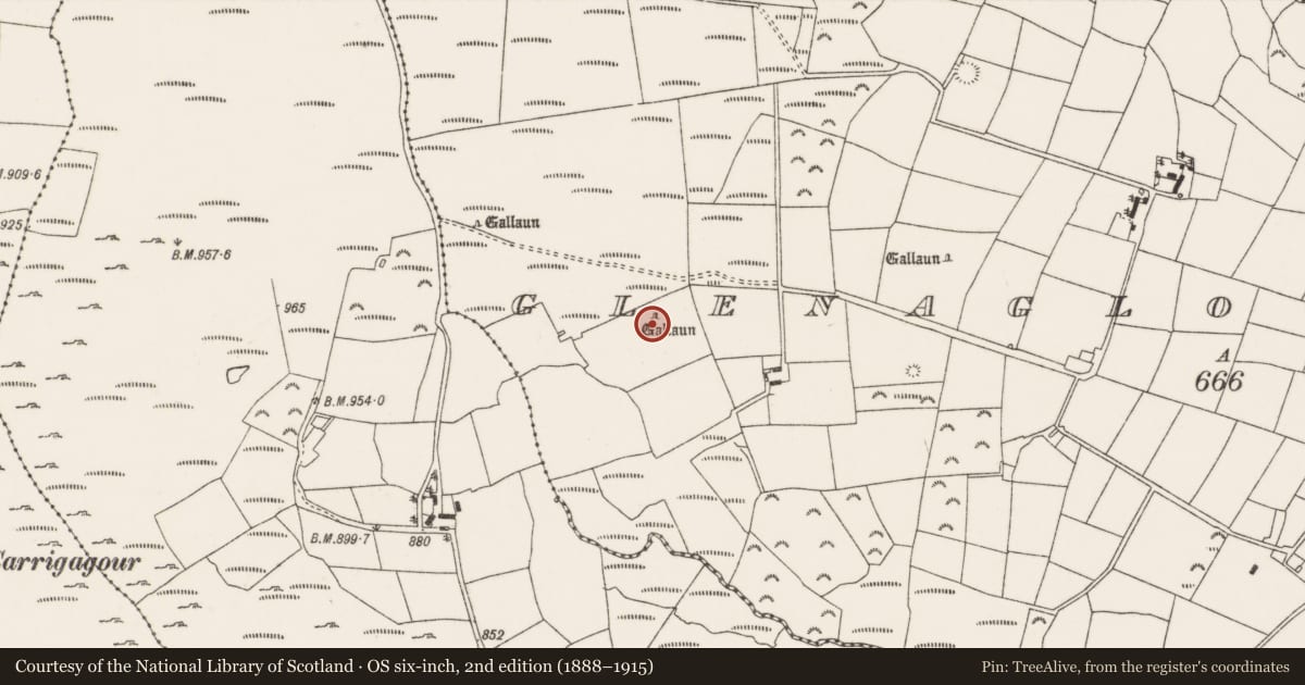 Ordnance Survey six-inch map, 2nd edition (1888–1915) covering the location of Standing stone, Glenaglogh South, County Cork, with a pin at the register's coordinates