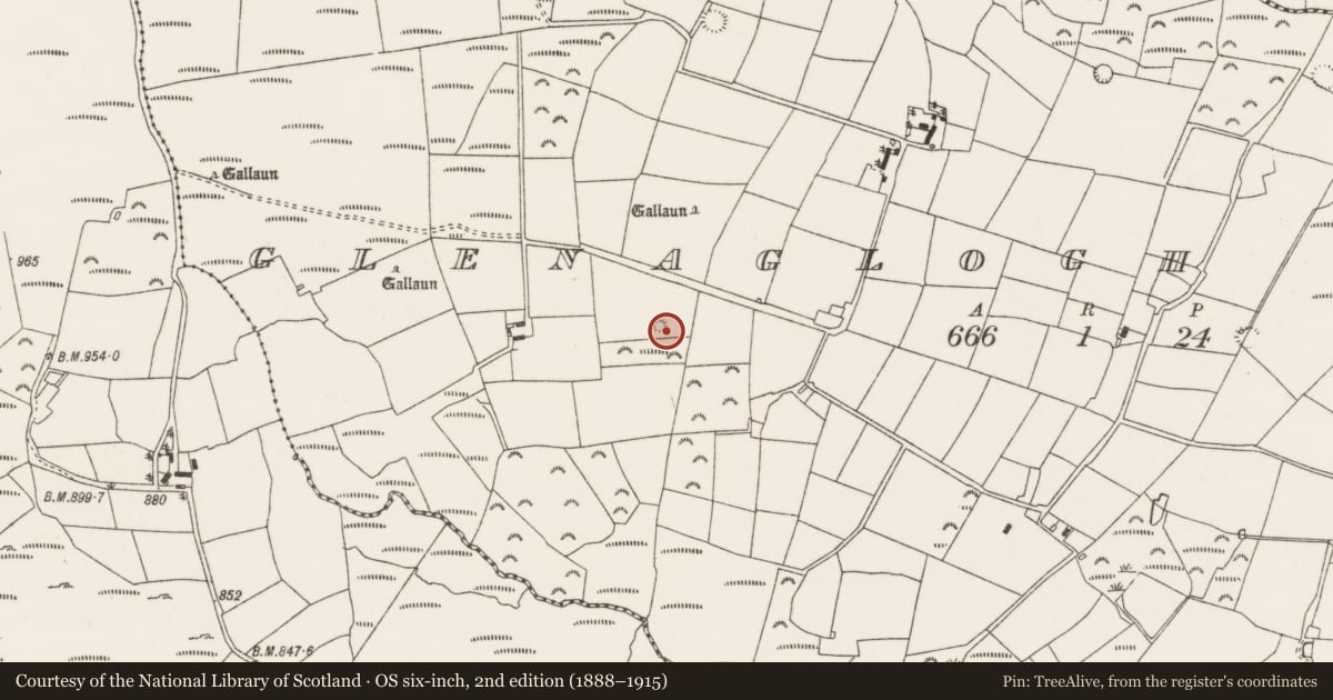 Ordnance Survey six-inch map, 2nd edition (1888–1915) covering the location of Barrow - ring-barrow, Glenaglogh South, County Cork, with a pin at the register's coordinates