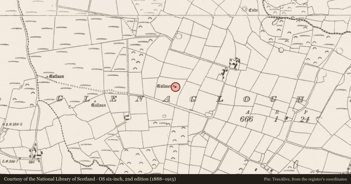 Ordnance Survey six-inch map, 2nd edition (1888–1915) covering the location of Standing stone, Glenaglogh South, County Cork, with a pin at the register's coordinates