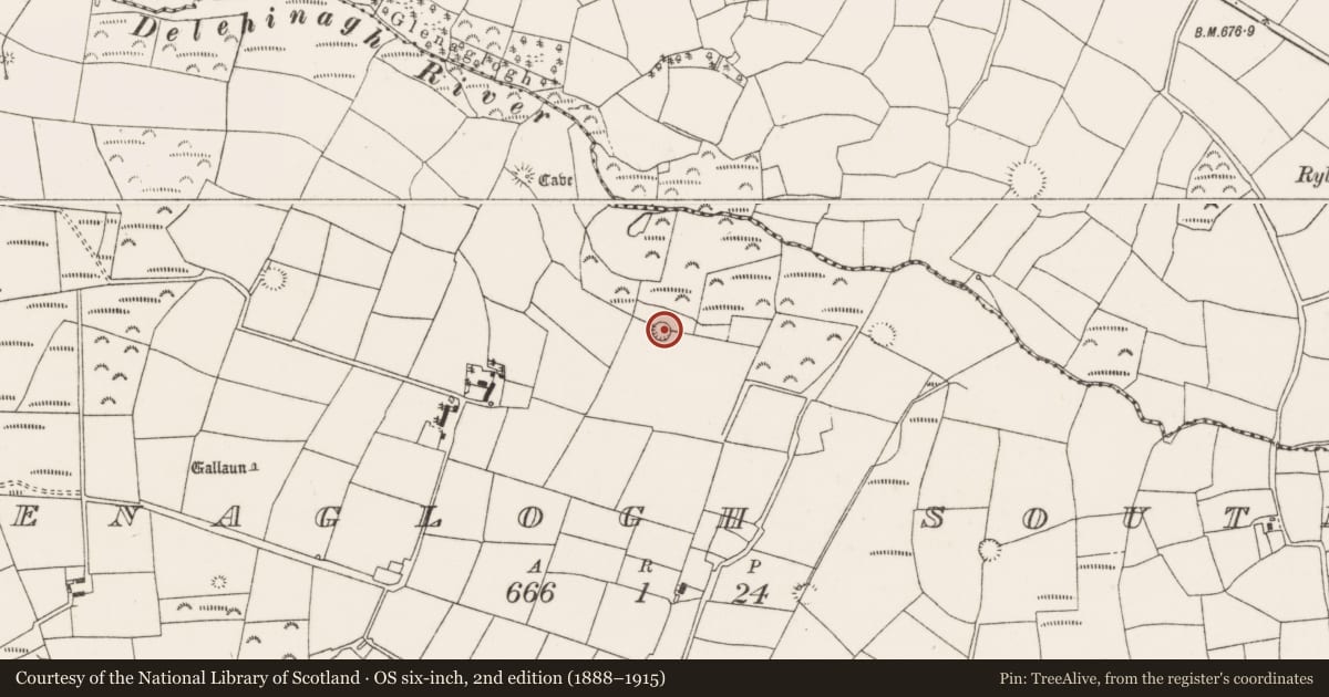 Ordnance Survey six-inch map, 2nd edition (1888–1915) covering the location of Ringfort - rath, Glenaglogh South, County Cork, with a pin at the register's coordinates