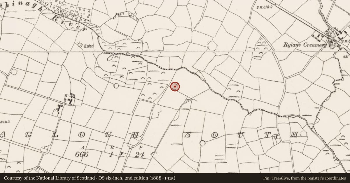 Ordnance Survey six-inch map, 2nd edition (1888–1915) covering the location of Souterrain, Glenaglogh South, County Cork, with a pin at the register's coordinates