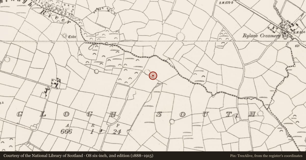 Ordnance Survey six-inch map, 2nd edition (1888–1915) covering the location of Pit, Glenaglogh South, County Cork, with a pin at the register's coordinates
