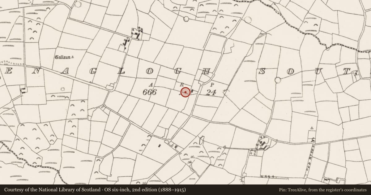 Ordnance Survey six-inch map, 2nd edition (1888–1915) covering the location of Souterrain, Glenaglogh South, County Cork, with a pin at the register's coordinates