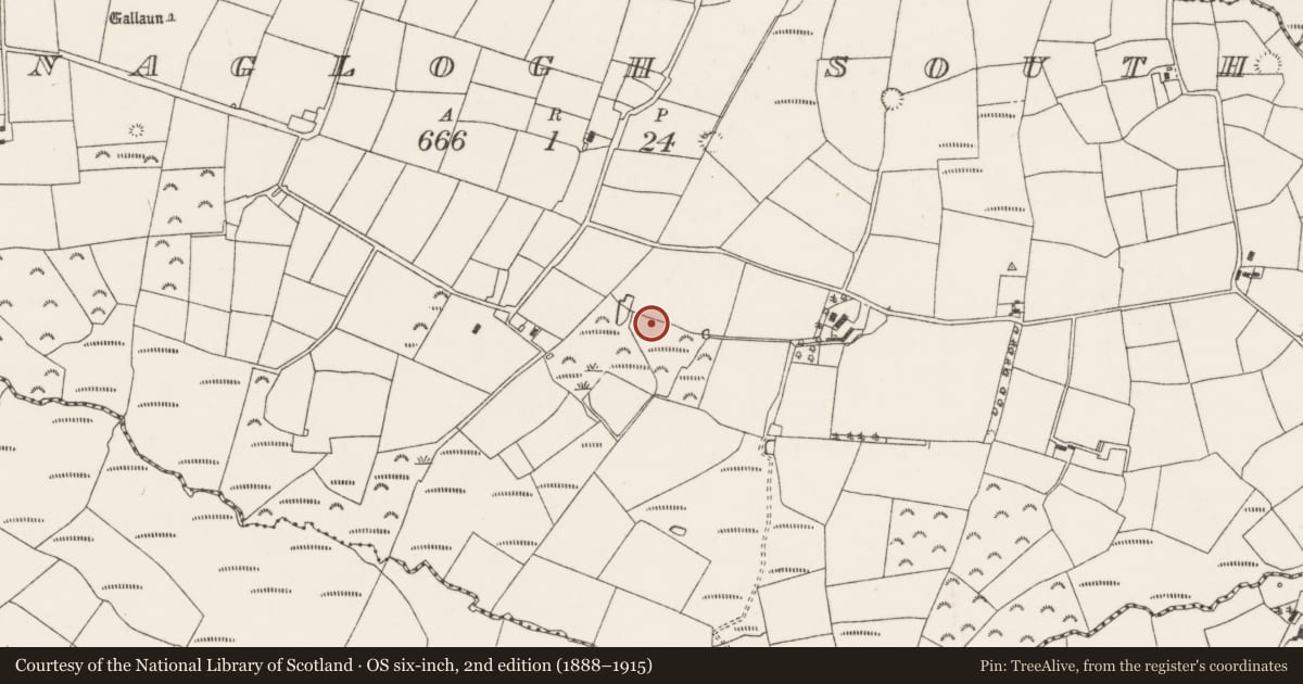 Ordnance Survey six-inch map, 2nd edition (1888–1915) covering the location of Standing stone, Glenaglogh South, County Cork, with a pin at the register's coordinates