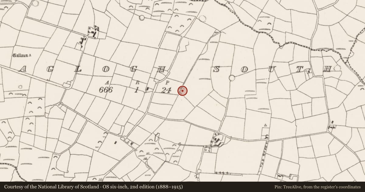 Ordnance Survey six-inch map, 2nd edition (1888–1915) covering the location of Ringfort - rath, Glenaglogh South, County Cork, with a pin at the register's coordinates