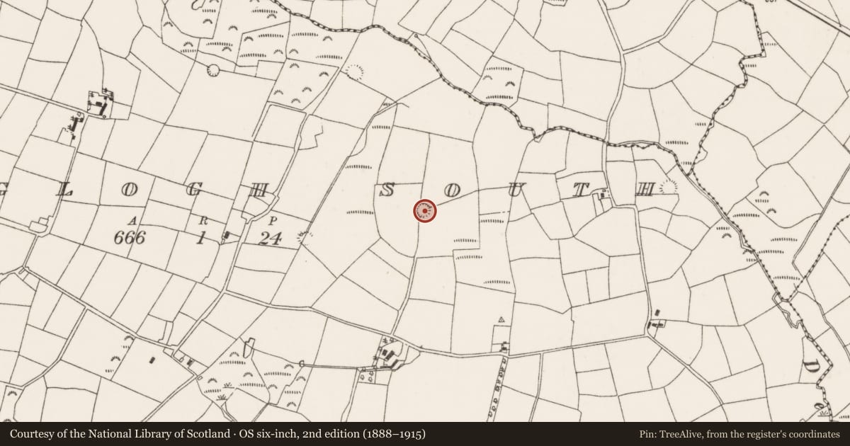 Ordnance Survey six-inch map, 2nd edition (1888–1915) covering the location of Ringfort - rath, Glenaglogh South, County Cork, with a pin at the register's coordinates