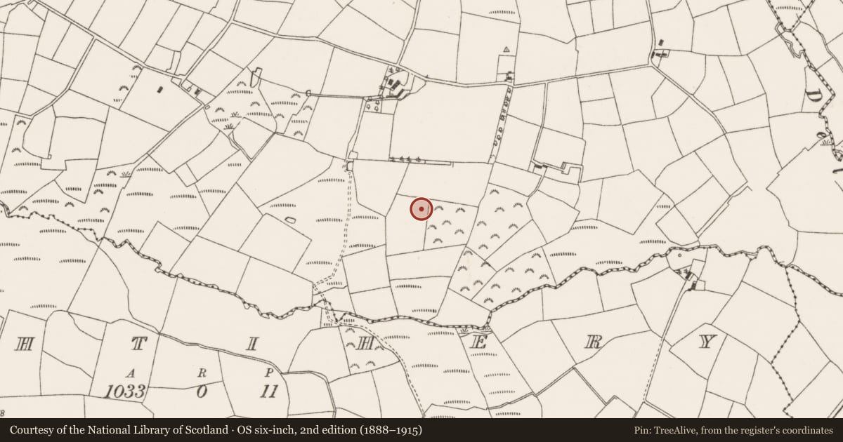 Ordnance Survey six-inch map, 2nd edition (1888–1915) covering the location of Standing stone, Glenaglogh South, County Cork, with a pin at the register's coordinates