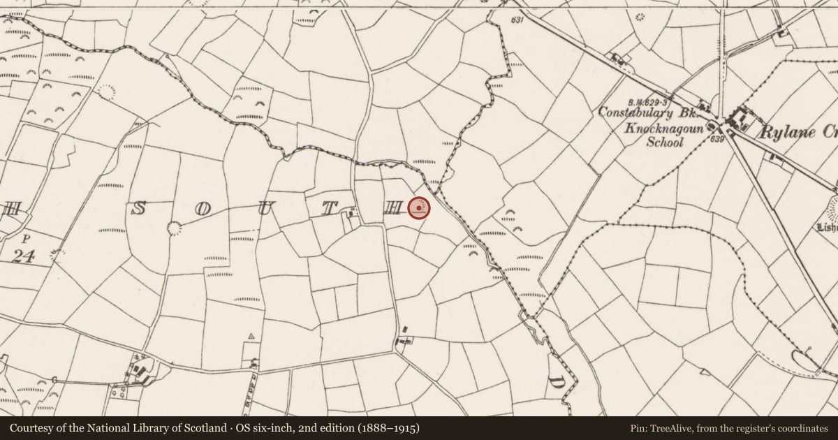 Ordnance Survey six-inch map, 2nd edition (1888–1915) covering the location of Ringfort - rath, Glenaglogh South, County Cork, with a pin at the register's coordinates