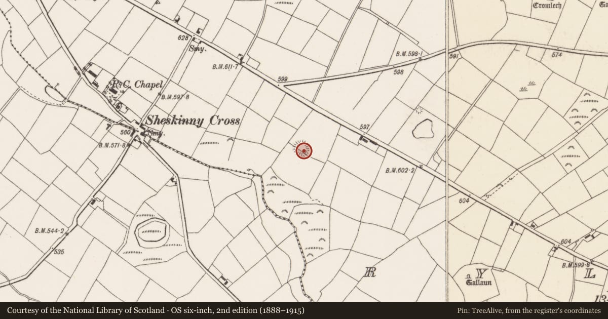 Ordnance Survey six-inch map, 2nd edition (1888–1915) covering the location of Ringfort - rath, Rylane, County Cork, with a pin at the register's coordinates