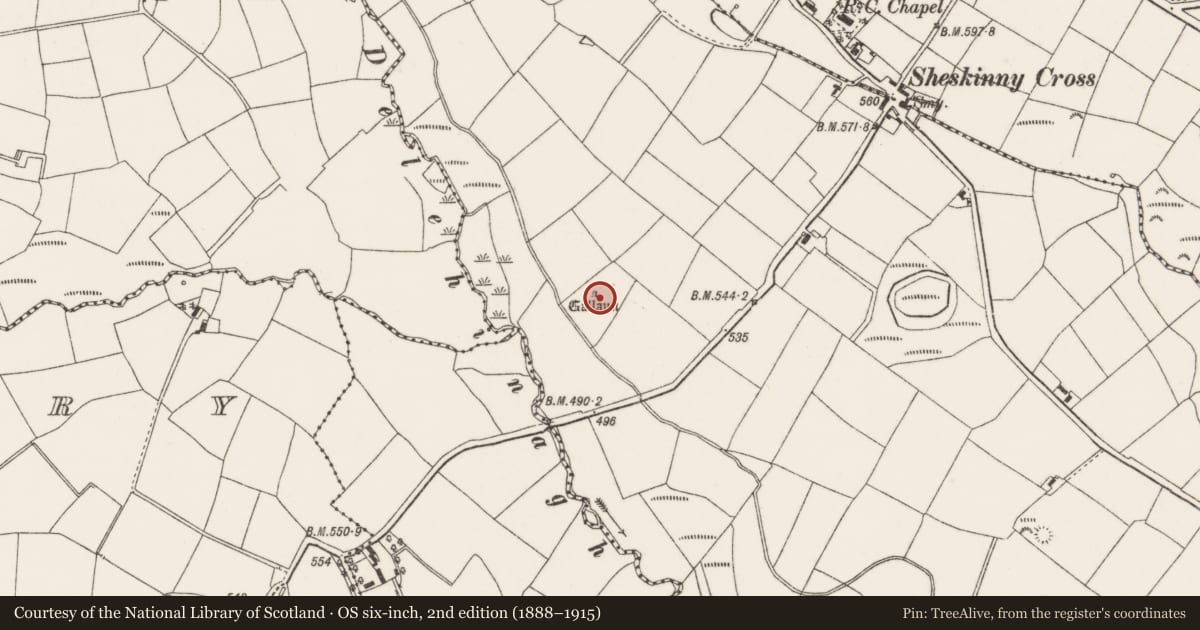 Ordnance Survey six-inch map, 2nd edition (1888–1915) covering the location of Standing stone, Mountrivers, County Cork, with a pin at the register's coordinates