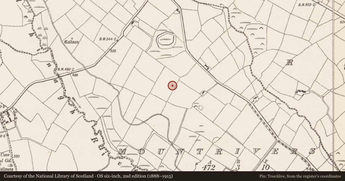 Ordnance Survey six-inch map, 2nd edition (1888–1915) covering the location of Standing stone, Mountrivers, County Cork, with a pin at the register's coordinates
