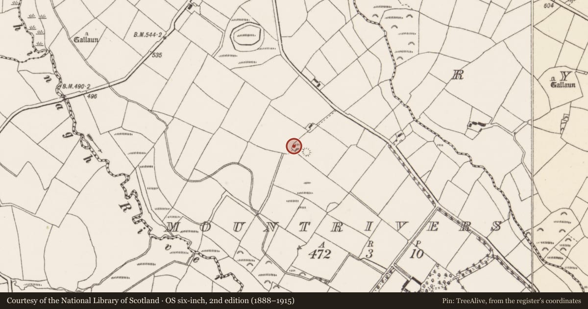 Ordnance Survey six-inch map, 2nd edition (1888–1915) covering the location of Barrow - ring-barrow, Mountrivers, County Cork, with a pin at the register's coordinates
