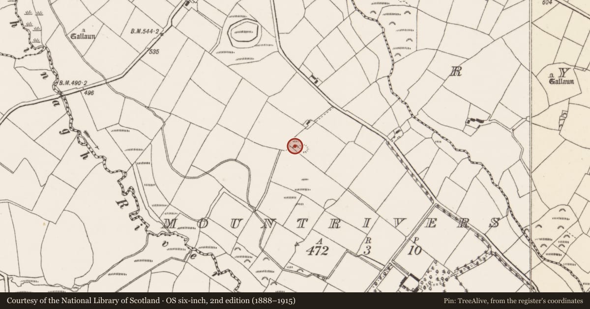 Ordnance Survey six-inch map, 2nd edition (1888–1915) covering the location of Barrow - ring-barrow, Mountrivers, County Cork, with a pin at the register's coordinates
