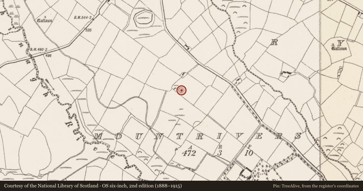 Ordnance Survey six-inch map, 2nd edition (1888–1915) covering the location of Barrow - ring-barrow, Mountrivers, County Cork, with a pin at the register's coordinates