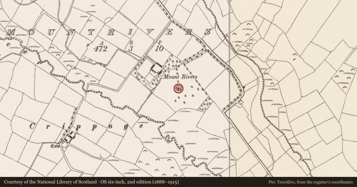 Ordnance Survey six-inch map, 2nd edition (1888–1915) covering the location of Designed landscape feature, Mountrivers, County Cork, with a pin at the register's coordinates