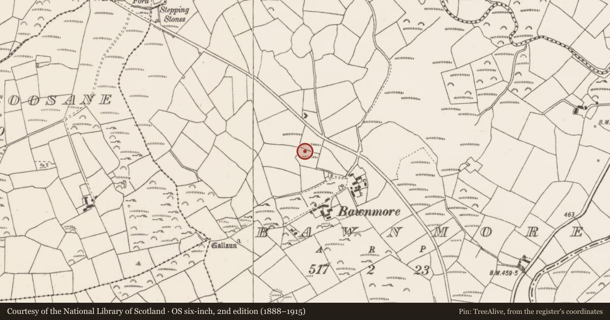 Ordnance Survey six-inch map, 2nd edition (1888–1915) covering the location of Fulacht fia, Bawnmore, County Cork, with a pin at the register's coordinates
